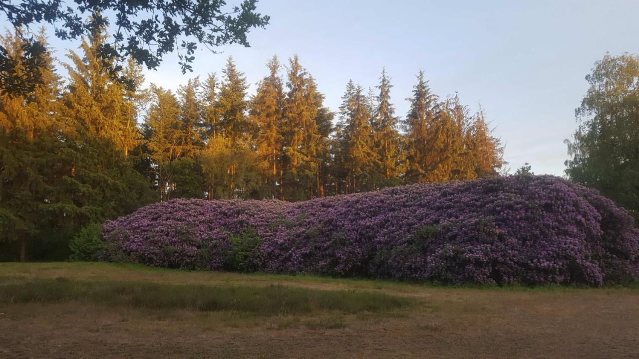 ! Holiday home Garderen